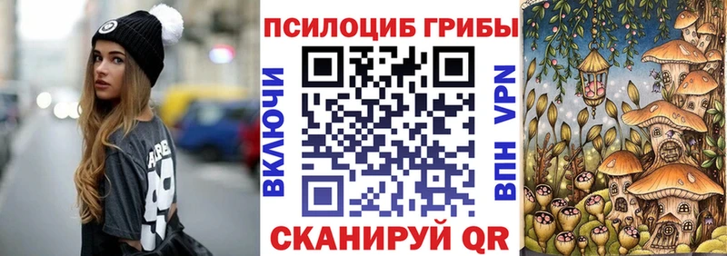 Псилоцибиновые грибы MAGIC MUSHROOMS  закладка  Шахунья 